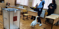 В Самаре в день выборов на избирательный участок пришел гусь - ГТРК Самара