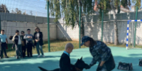 Сотрудники Центра кинологической службы ГУ МВД России по Самарской области рассказали ребятам об особенностях своей профессии - ГУ МВД Самарской области