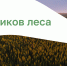 Поздравление губернатора Самарской области В.А.Федорищева с Днем работников леса - Минлесхоз