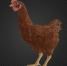 You are viewing the image with filename 1.jpg - Самарский ГАУ