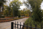 В парке уложено порядка 740 квадратных метров тротуарной плитки, высажены ель, спирея, липа, рябина, сирень, дерен, кизильник, установлены лавки и урны.