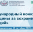 Ведется прием заявок на конкурс "Женщины за сохранение традиций" - Волга Ньюс