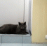 В Самаре теплом обеспечили 198 школ - SamaraGIS.Ru