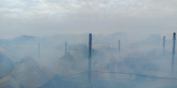 Погибли 10 овец и 30 кур: под Самарой случился крупный пожар  - Самарская Газета