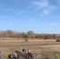 В Самарской области начали проверку из-за ДТП с тремя погибшими - Комсомольская Правда Самара