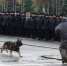 JPG Файл - ГУ МВД Самарской области