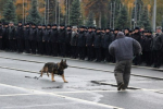 JPG Файл