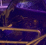 17 октября в Самаре 27-летняя водитель Audi 80 врезалась в опору и ограждение - ProGorodSamara.Ru