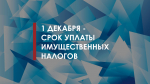 1 декабря - срок уплаты имущественных налогов