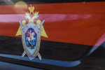 Глава СК заинтересовался делом о нападении иностранцев на самарчанок