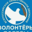  «Волонтёры Победы» — всероссийское общественное движение, которое занимается гражданско-патриотическим воспитанием и сохранением исторической памяти. - НИА Самара