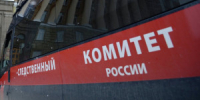 Бастрыкин намерен проконтролировать расследование гибели 12-летней девочки в Тольятти - НИА Самара