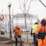 В Самаре высадили более 100 каштанов вдоль Московского шоссе и улицы Ново-Садовой - ГТРК Самара