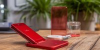 TECNO представила бюджетный смартфон Spark Go в ярком красном цвете Bikaner Red - ProGorodSamara.Ru