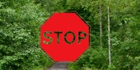 В 2025 году площадь лесных пожаров сократилась в 11 раз - ТРК Скат