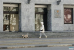 Самарцев обязали регистрировать домашних животных