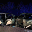 Три человека пострадали при столкновении Daewoo Matiz и "четырнадцатой" под Самарой - Волга Ньюс