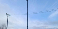 МТС накрыла сетью LTE томатный край Самарской области - Волга Ньюс