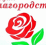 В этот день награды получили 21 лауреат  из Самары. Награждение лауреатов из других муниципалитетов будет проходить  в течение декабря в различных городах и районах Самарской губернии. - НИА Самара