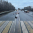 Под Тольятти водитель насмерть сбил пешехода и скрылся - Волга Ньюс