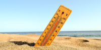 Учёные назвали экстремальную жару угрозой для биологического старения человека - ProGorodSamara.Ru