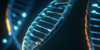 Cedars-Sinai: ученые создали препарат для восстановления ДНК и регенерации тканей - ProGorodSamara.Ru