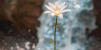 Nature: новое исследование ведет к пересмотру даты появления всех предков - ProGorodSamara.Ru