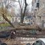 В Самаре дерево рухнуло на припаркованную машину на ул. Булкина - Комсомольская Правда Самара