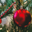 В Самаре пройдет лекция о традициях празднования Нового года - SamaraGIS.Ru