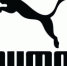 Компания Puma зарегистрировала два товарных знака в России - НИА Самара