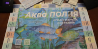 Как отметили школьники, цель настольной игры «Аква ПОЛИЯ» – рассказать детям и их родителям, как сохранить чистоту и биоразнообразие рек, озёр и водоёмов, и о том, как деятельность человека влияет на водную среду. - НИА Самара
