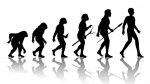 Australopithecus deyiremeda: ученые пересмотрели старую теорию эволюции человека