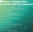 Появились адреса, где в Самаре можно будет сдать новогоднюю елку на переработку - Самарская Газета