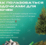 С 6 января в Самаре елки можно сдать на переработку - Волга Ньюс