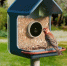 Компания Birdbuddy выпустила умные кормушки Birdbuddy 2 и Birdbuddy 2 Mini - ProGorodSamara.Ru