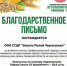 Гибриды "Золота полей Черноземья" покоряют Поволжье - Волга Ньюс
