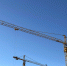 Минград отказал в застройке части лесного питомника в Тольятти жилыми высотками - Волга Ньюс