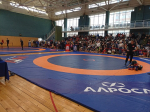 В Самаре стартовали чемпионат и первенства региона по панкратиону, посвященные памяти Героя России Виталия Шаповалова