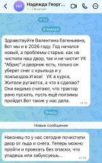 Депутат Тольяттинской городской Думы Валентина Семибратова помогла жителям с уборкой снега