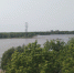 Проекты «Самарское Заречье» и «Кряж» станут городом в городе - ГТРК Самара