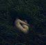 Алла Кучерявая из Самары выиграла в премии Russian Photo Awards - Волга Ньюс