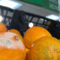 Самарским магазинам готовят штрафы за просрочку продуктов и завышенные цены на табак - ГТРК Самара