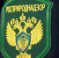 В Росприроднадзоре пройдет заседание Научно-технического совета - Росприроднадзор