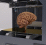 Ученые Корнелла создали технологию 3D-печати для имитации ткани и частей тела - ProGorodSamara.Ru