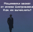 Мошенники звонят от имени "Центробанка". Как их вычислить? - ГУ МВД Самарской области