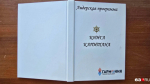 Кураторы тренинг-центра «Гармония» обучались методам руководства участниками