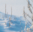 Температура воздуха 5 февраля в Самаре ночью -25, -27°С, днем -14, -16°С. - НИА Самара