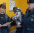Профилактические мероприятия по пожарной безопасности в Красноярском районе - Центр по делам гражданской обороны, пожарной безопасности и чрезвычайным ситуациям