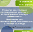 Жителей Самары приглашают на консультацию по соцконтракту на предпринимательскую деятельность - Администрация городского округа Самара