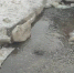 В Самаре прорвало бесхозный водопровод - ТРК Скат